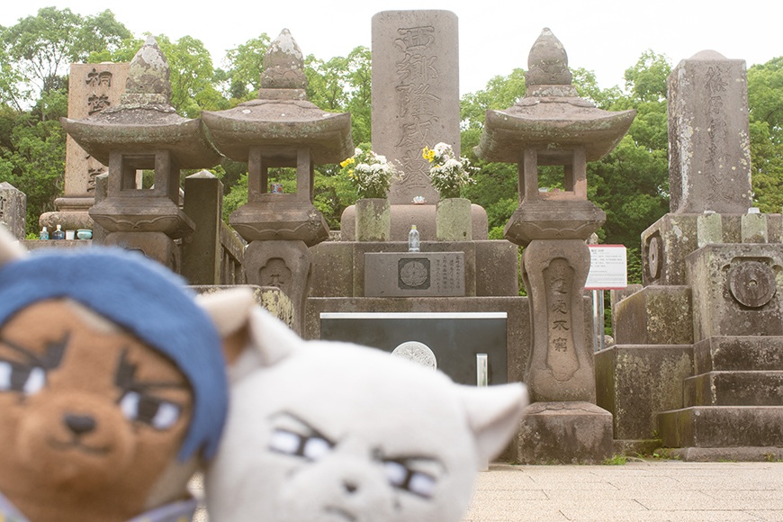 nui_and_photo's tweet image. ゴの聖地巡礼に来た鯉月ふぉぜ

ふぉぜのピンボケドアップ写真が好きすぎていっぱい撮ってしまう！