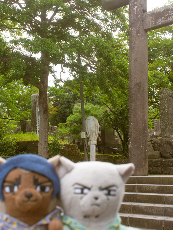 nui_and_photo's tweet image. ゴの聖地巡礼に来た鯉月ふぉぜ

ふぉぜのピンボケドアップ写真が好きすぎていっぱい撮ってしまう！