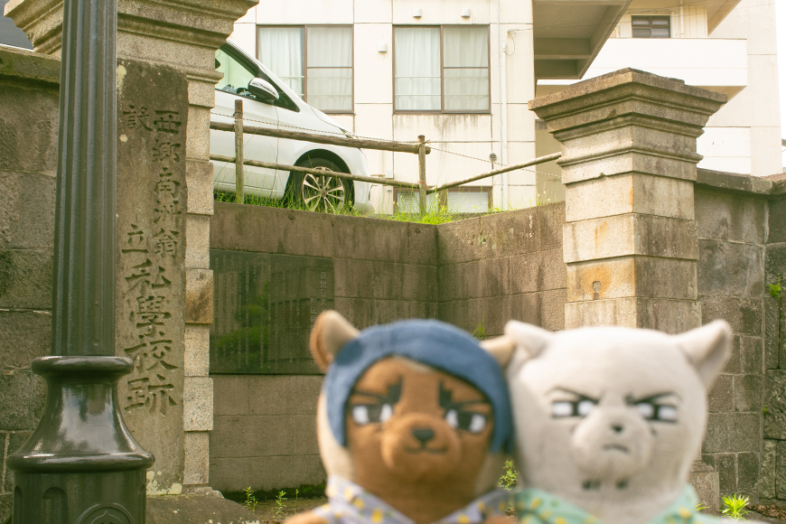 nui_and_photo's tweet image. ゴの聖地巡礼に来た鯉月ふぉぜ

ふぉぜのピンボケドアップ写真が好きすぎていっぱい撮ってしまう！