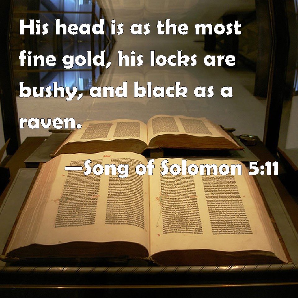 A scripture for Hair loss!🥰
“His face is bronzed and smooth; his hair is wavy, black as a raven.”🐦‍⬛
Song of Songs 5:11 GNT