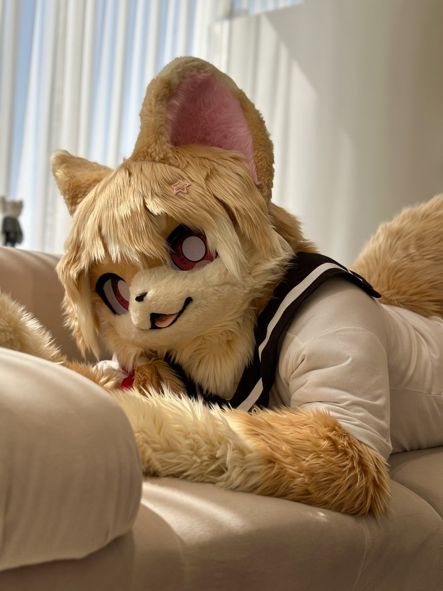 #FursuitEveryday

어제의 너는 어떤이야기를 가지고 있니?
자기 전에 너의 이야기를 들려줄래?

📸 : <a href="/rufneko55/">호치 / HARU 🔜 FUR:RAID</a>