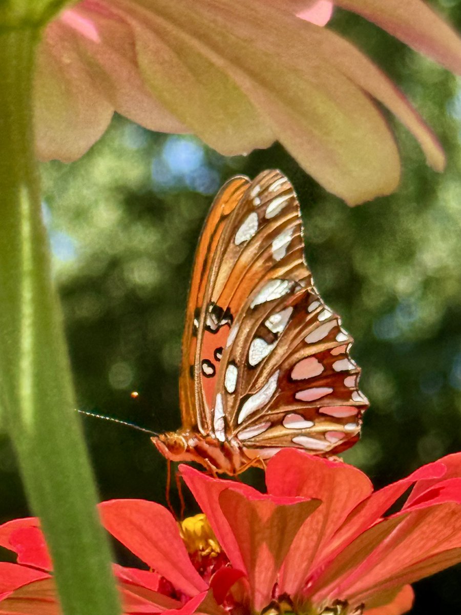 Collabor8tor's tweet image. 