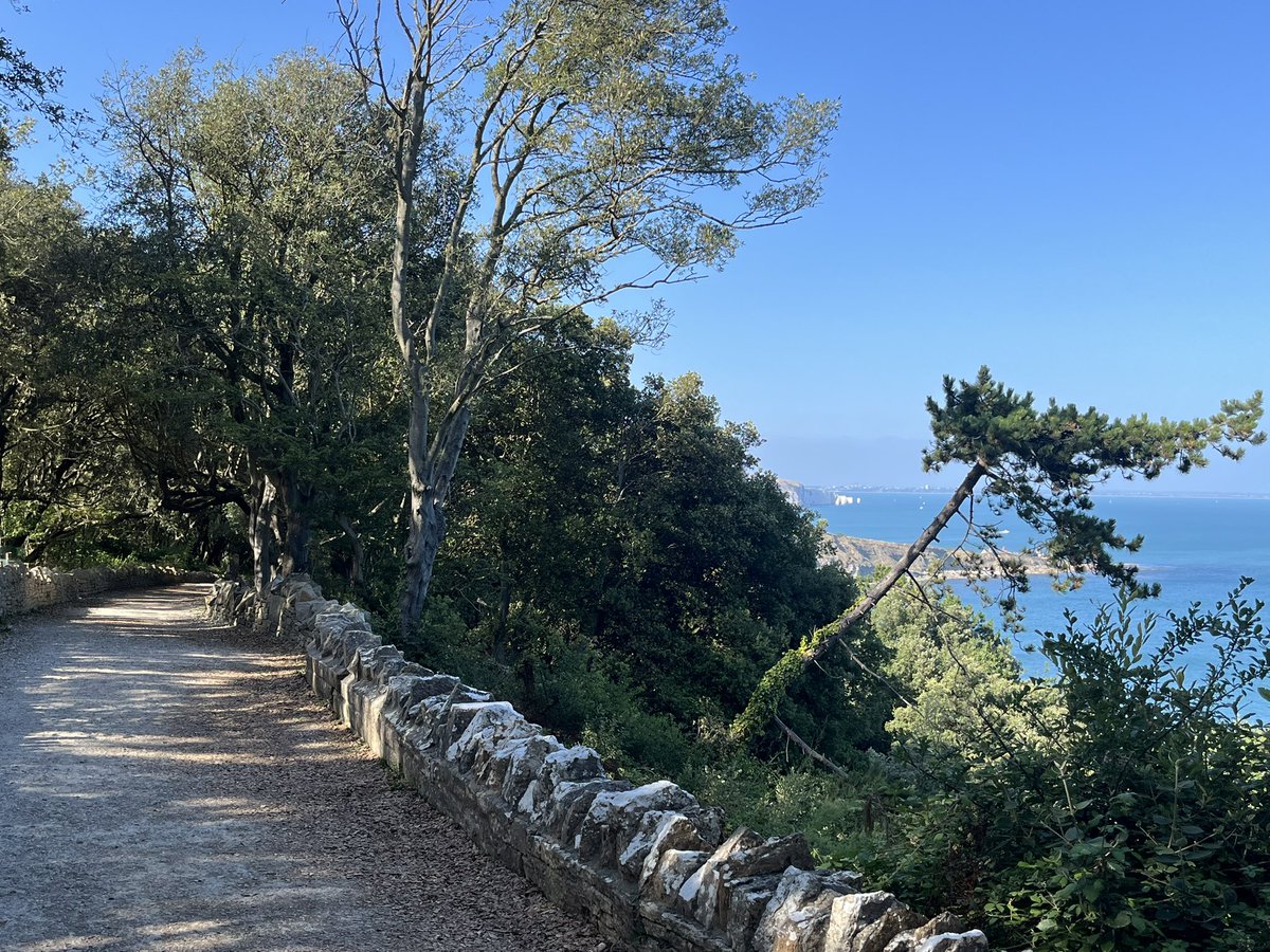 ITattum's tweet image. Where we live now is politically very conservative, bending towards reform.
At the same time it is full of what many voters would see as ‘ woke’ projects, which make it such a great place to live.
I am in a nature reserve overlooking a marine conservation area.
