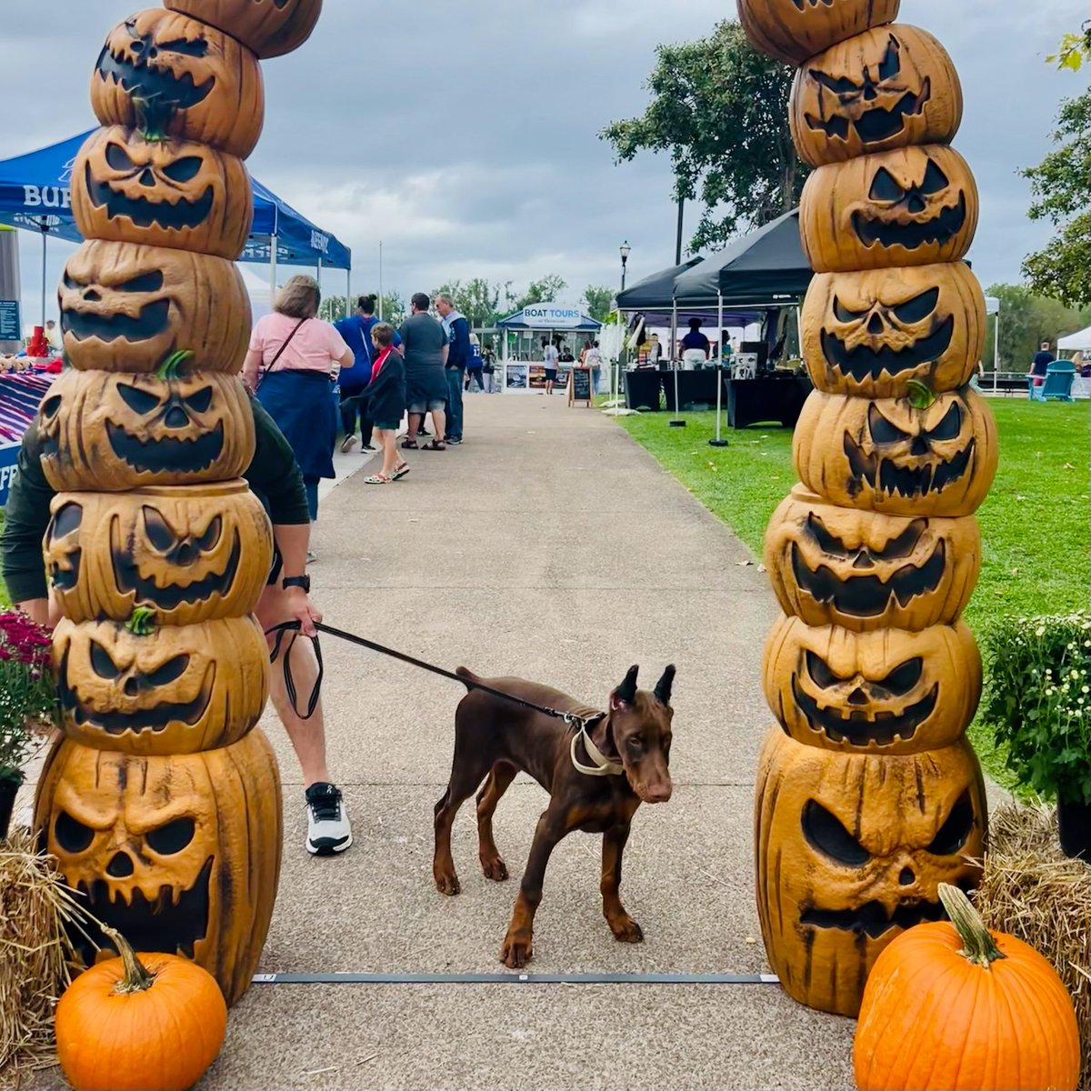 BufWaterfront's tweet image. SAVE THE DATE!
Fall Fest is returning to Canalside on Saturday, September 27th from 11am4pm. Stay tuned for more details!🎃