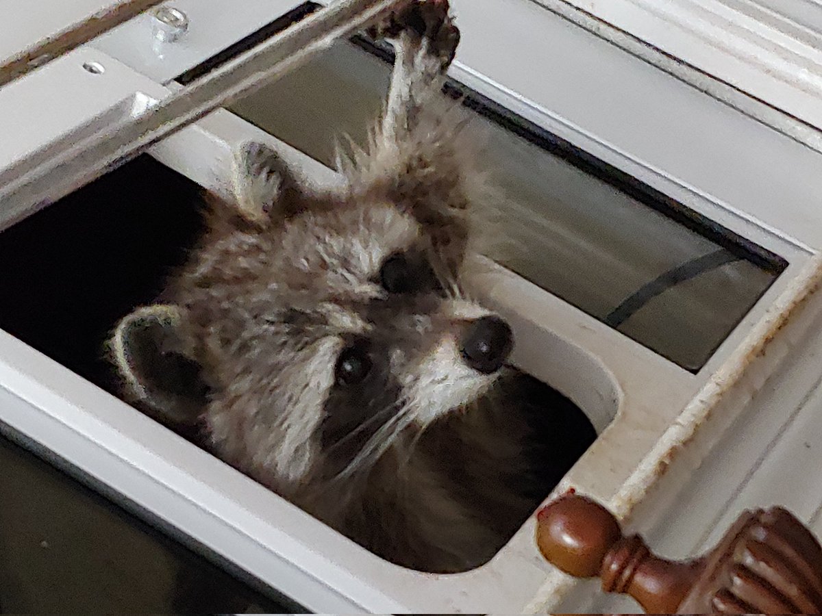 Lori McCall tweet media