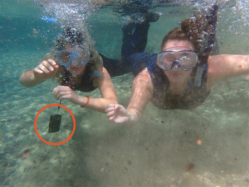 The Jones Center at Ichauway tweet media