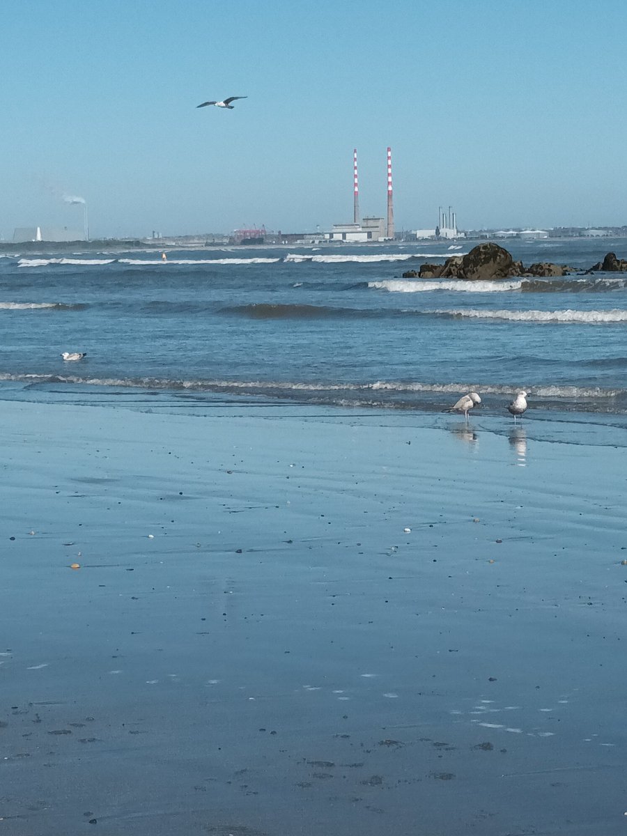 nicolatobias's tweet image. I've had quite a day today and not in a good way. I need to becalm my mind so here's one of my photos of beautiful Dublin Bay taken last April @dunlaoghairecra @DunLaoghaireTT @DunLaoghaireClb @PhotosOfDublin #Dublin 💚