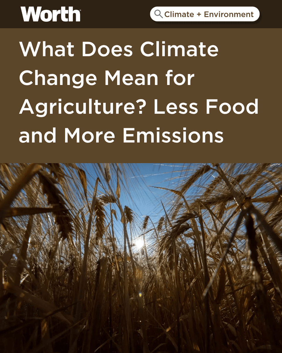 Two recent studies examine how rising temperatures have made agricultural production less efficient, fundamentally reshaping the global food system as producers try to adapt to hotter growing seasons.

Read the full article:
hubs.la/Q03yYN870

#ClimateChange #Environment