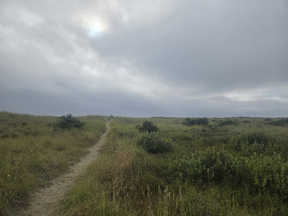 Still beautiful to walk the path early Morning near the beach