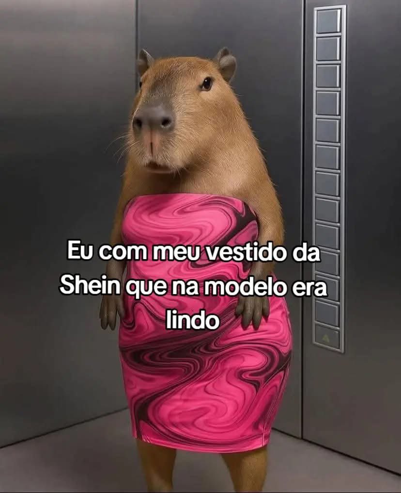 paginalixo1's tweet image. 