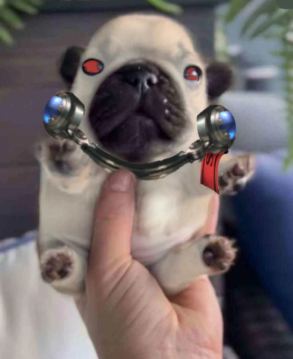UltamateJudge's tweet image. Hehehe