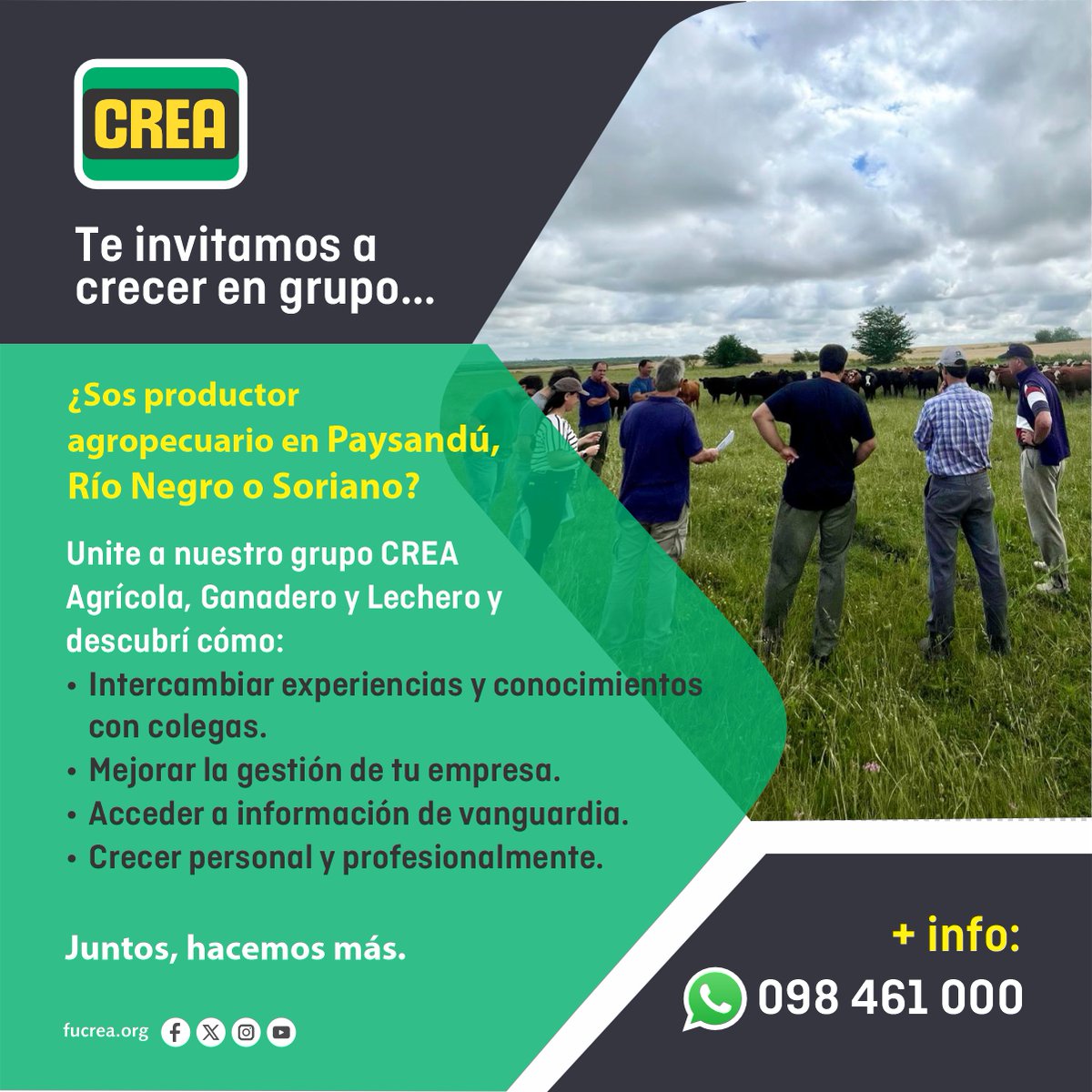 ¿Buscás potenciar tu actividad agropecuaria? 🚀 
Si estás en Paysandú, Río Negro y Soriano: ¡sumate a CREA! Compartí, aprendé y crecé con colegas. Conocé los beneficios de la gestión colaborativa. Más info en el flyer y en fucrea.org
#CREA #Agro #Uruguay #Productores