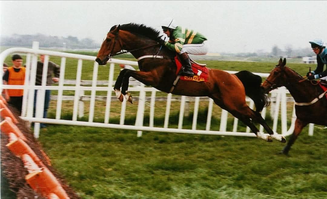 ISTABRAQ🇮🇪1992
(SADLER'S WELLS  - BETTY'S
SECRET BY SECRETARIAT)
#Istabraq
1992-2024