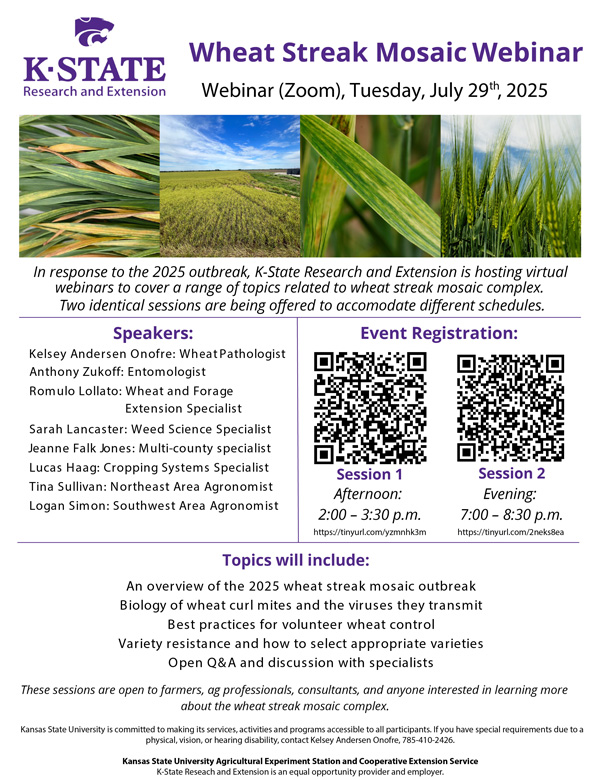 Volunteer #wheat. Curl mites. Wheat-free windows. Resistant varieties. K-State's free webinar on July 29 covers it all. Get ahead of this disease before planting. Register for one of two time options! bit.ly/4mgFCIB