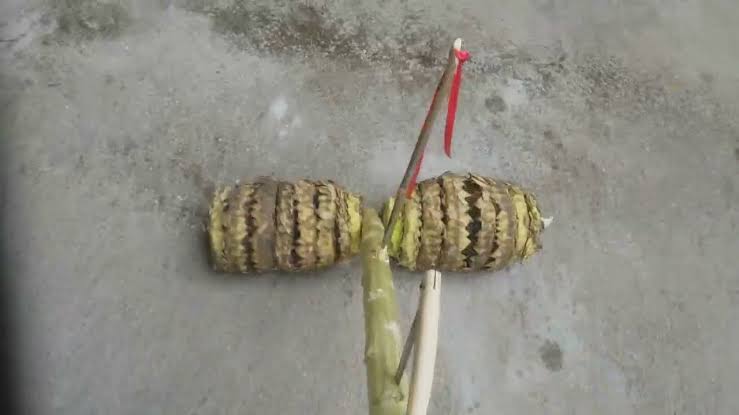 çocukluğumda ayçiçeğinden yaptoğım oyuncak arabayı bugün hatırlıyorum da...