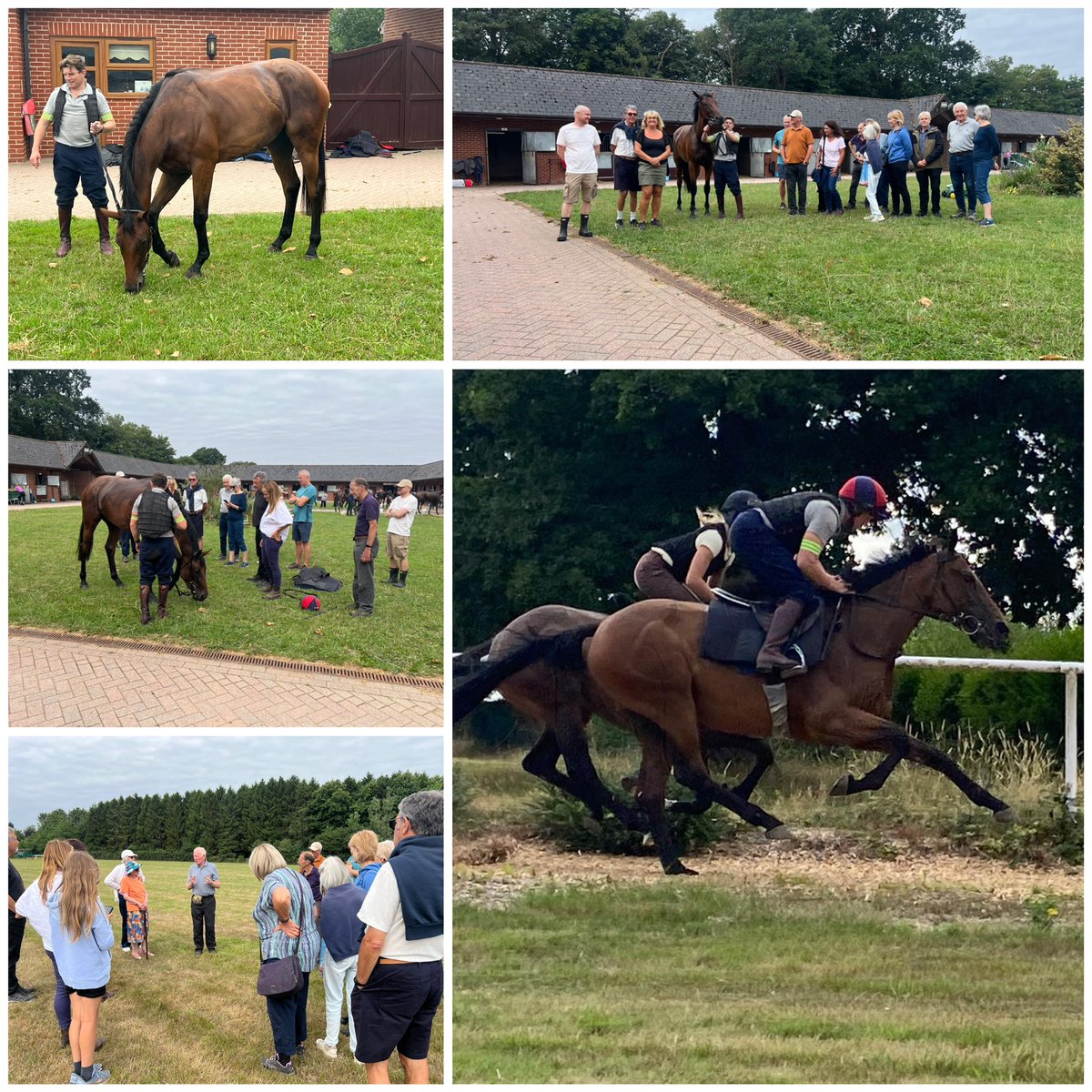 Heart of the South Racing (@racinghotsr) on Twitter photo Fantastic naming morning at <a href="/gl_racing/">Gary & Josh Moore Racing</a> for our 2yo by Sea The Stars.
Her racing name was a popular choice amongst her Owners & is SEA A LUCKY STAR🌟 (subject to BHA approval)
She’s coming together at home & heading towards debut this autumn🤞
Thanks team for a great morning Fantastic naming morning at <a href="/gl_racing/">Gary & Josh Moore Racing</a> for our 2yo by Sea The Stars.
Her racing name was a popular choice amongst her Owners & is SEA A LUCKY STAR🌟 (subject to BHA approval)
She’s coming together at home & heading towards debut this autumn🤞
Thanks team for a great morning