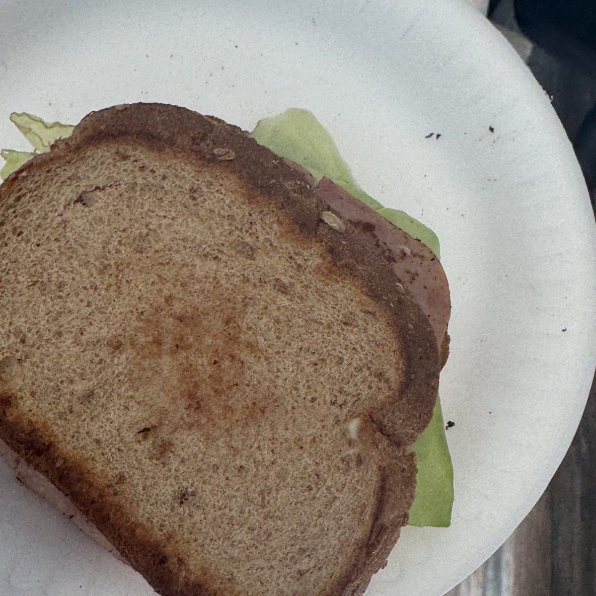 Sketching_Stars's tweet image. made myself a sandwich :3
