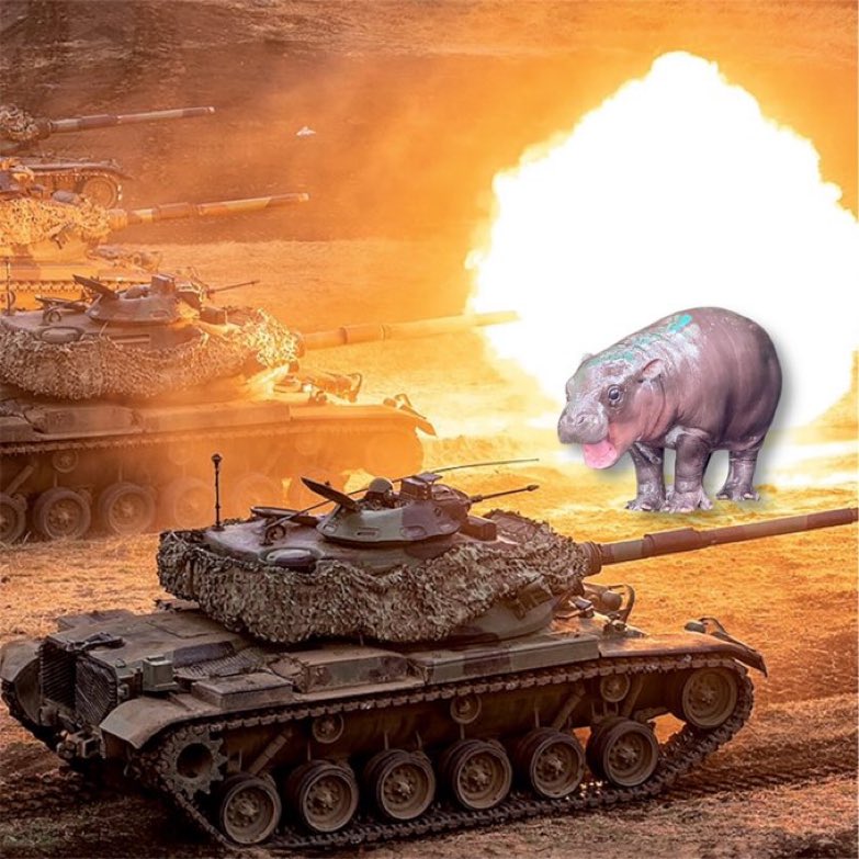 P8tron's tweet image. Operation #moodeng mode is in.

$5+ loading
Ammo locked