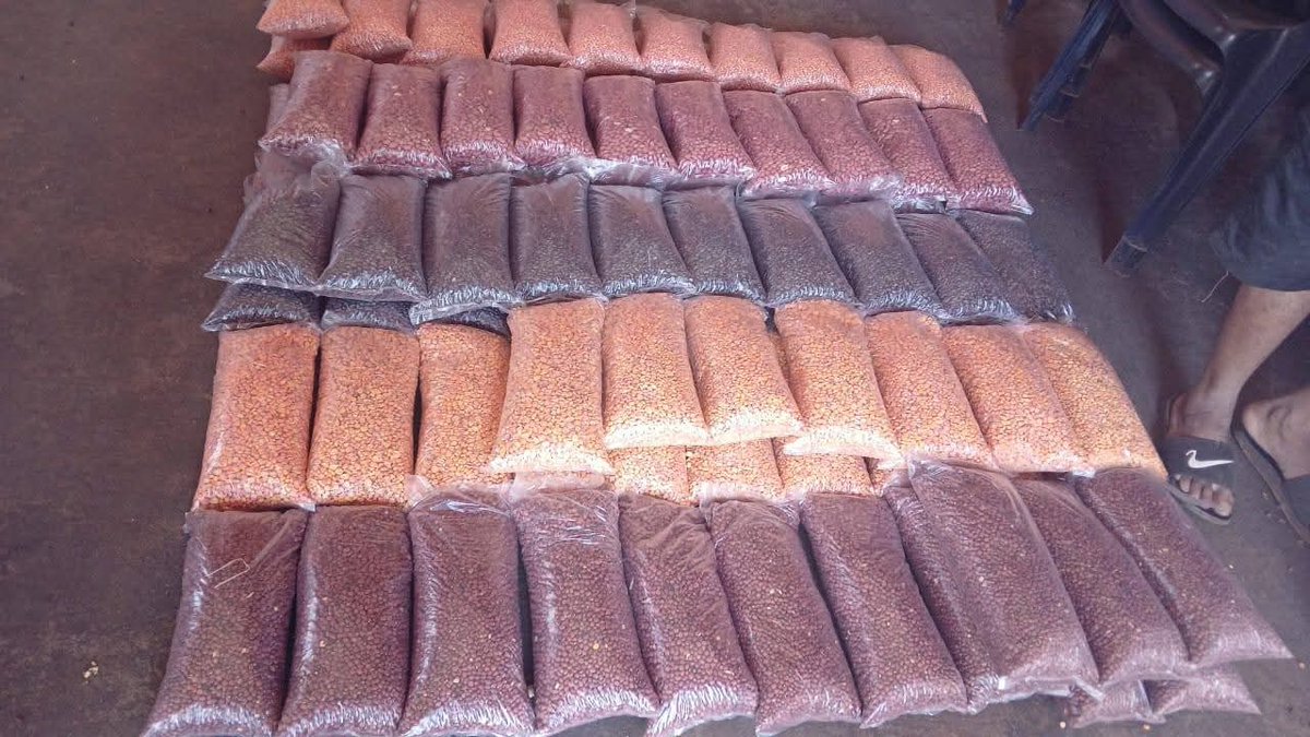 IP Paraguay (@ipparaguay) on Twitter photo El <a href="/magparaguay/">Mag Paraguay</a> apunta a la agricultura sustentable y sostenible en el departamento de Canindeyú.
➡️ lc.cx/qT9tJX El <a href="/magparaguay/">Mag Paraguay</a> apunta a la agricultura sustentable y sostenible en el departamento de Canindeyú.
➡️ lc.cx/qT9tJX