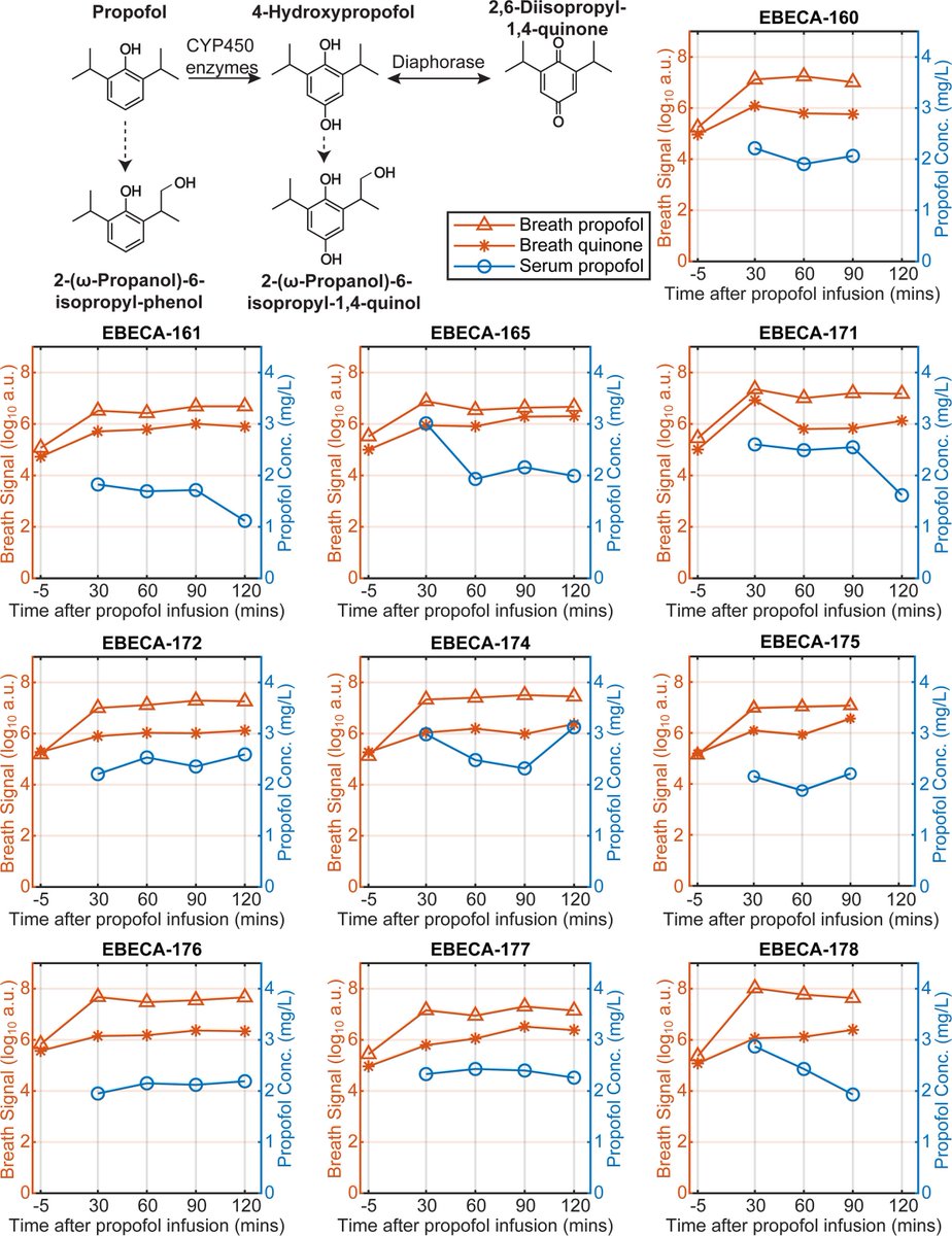_Anesthesiology's tweet image. In a new study, Zeng et al. hypothesized that pharmacometabolomics via breath analysis could yield real-time insights into propofol concentrations as well as accompanying metabolic responses to surgery. Learn more: ow.ly/zZiT50Wtw8c