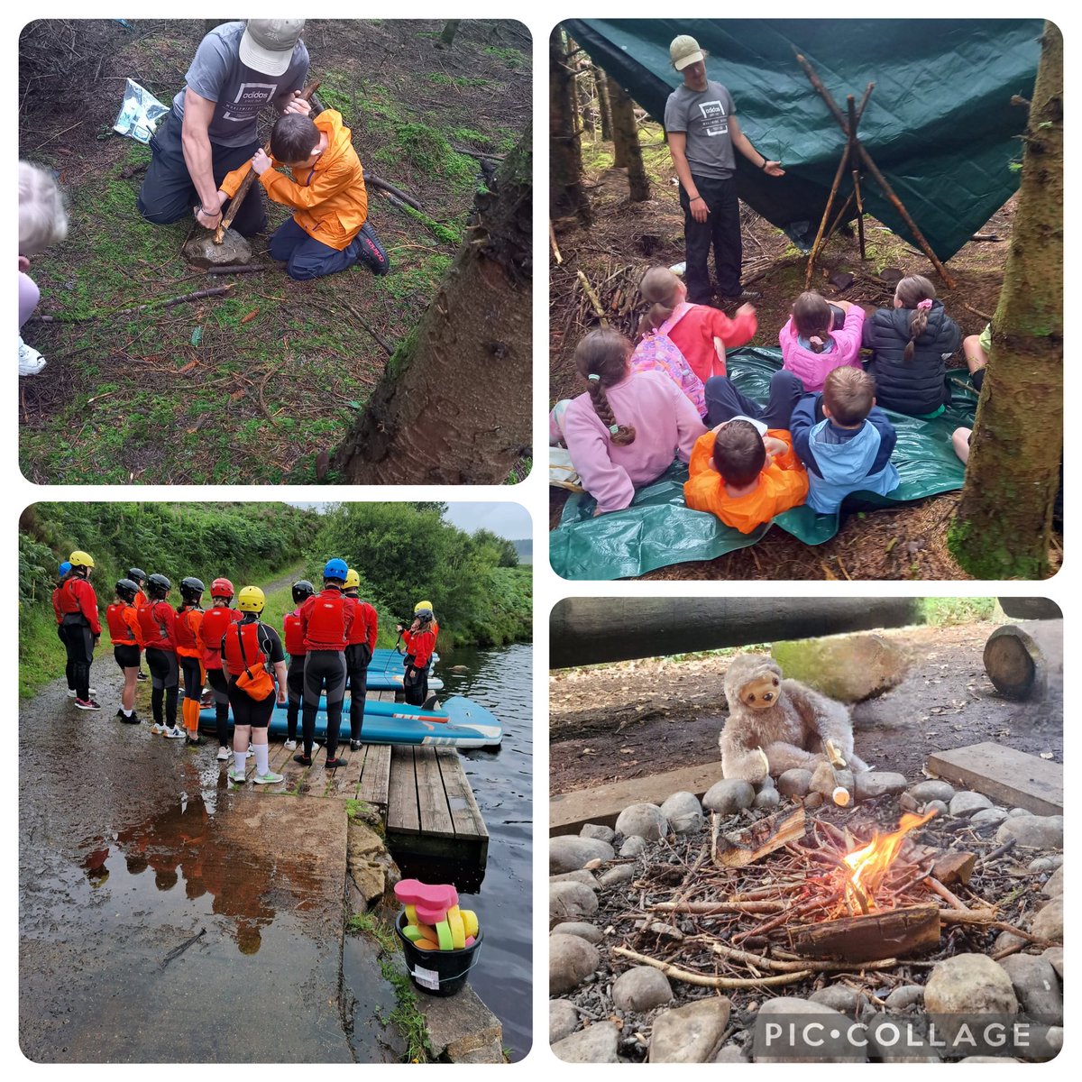 Nikki gregg tweet media