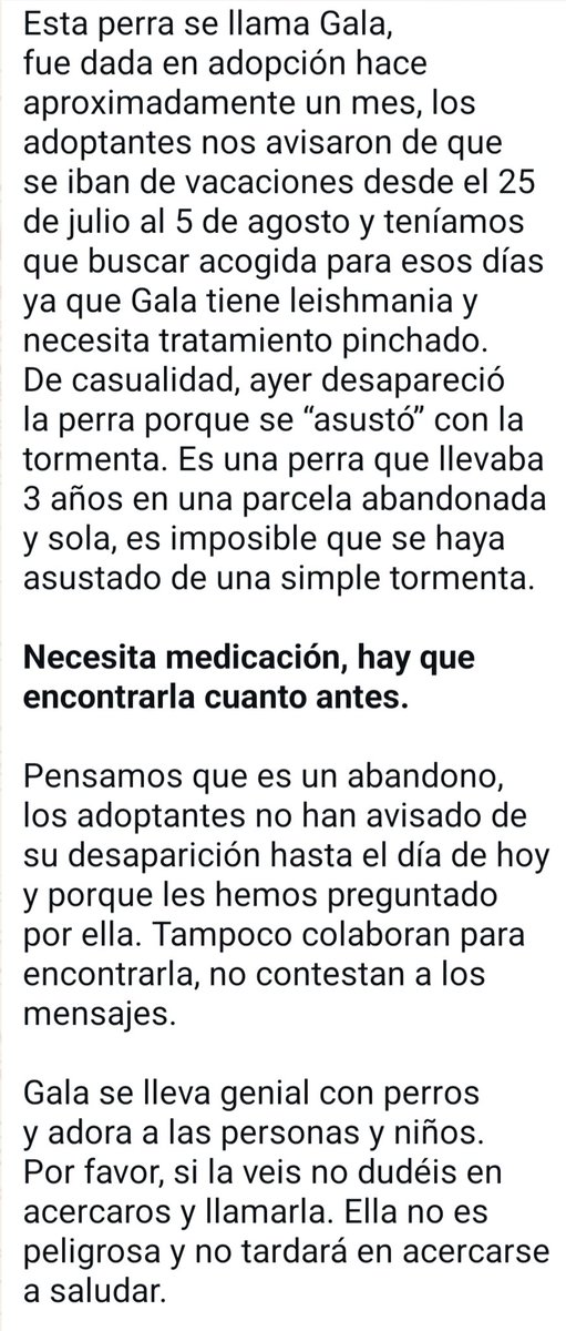 VidasSos's tweet image. 🔴 #URGENTE| #GALA  DESAPARECIDA el 24/7 en #LaPobla (#valencia) . Puede estar en cualquier lugar. 

Dada en adopción hace 1 mes y la familia quería irse de vacaciones y no colabora .Casualmente ayer desapareció 😢. 
🔊 🔊  máxima difusión ! 

#tourrtve25j #santiago…