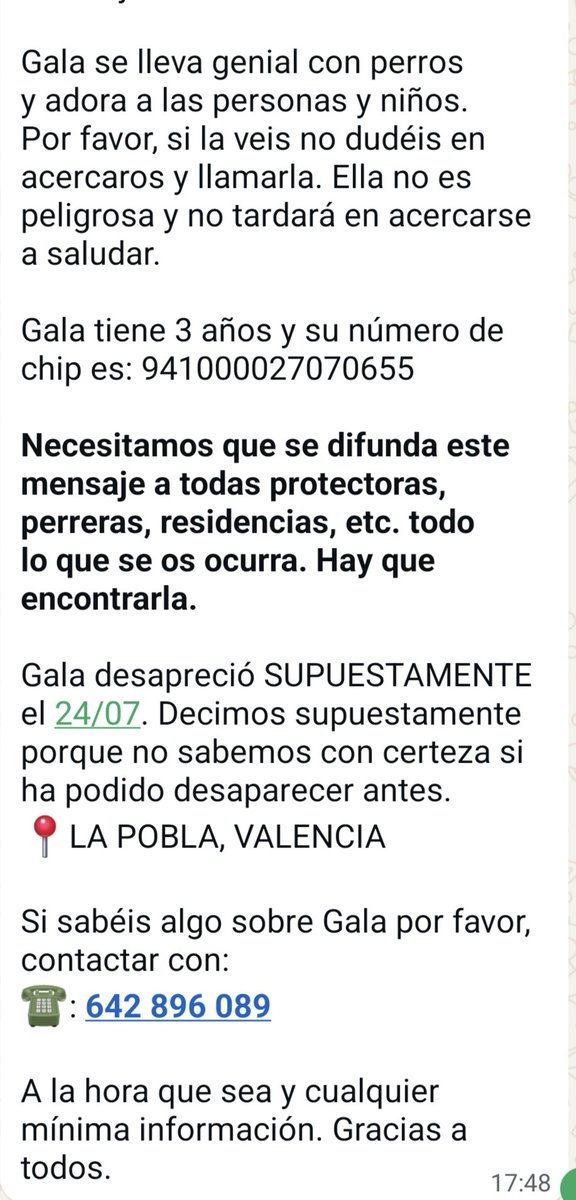VidasSos's tweet image. 🔴 #URGENTE| #GALA  DESAPARECIDA el 24/7 en #LaPobla (#valencia) . Puede estar en cualquier lugar. 

Dada en adopción hace 1 mes y la familia quería irse de vacaciones y no colabora .Casualmente ayer desapareció 😢. 
🔊 🔊  máxima difusión ! 

#tourrtve25j #santiago…