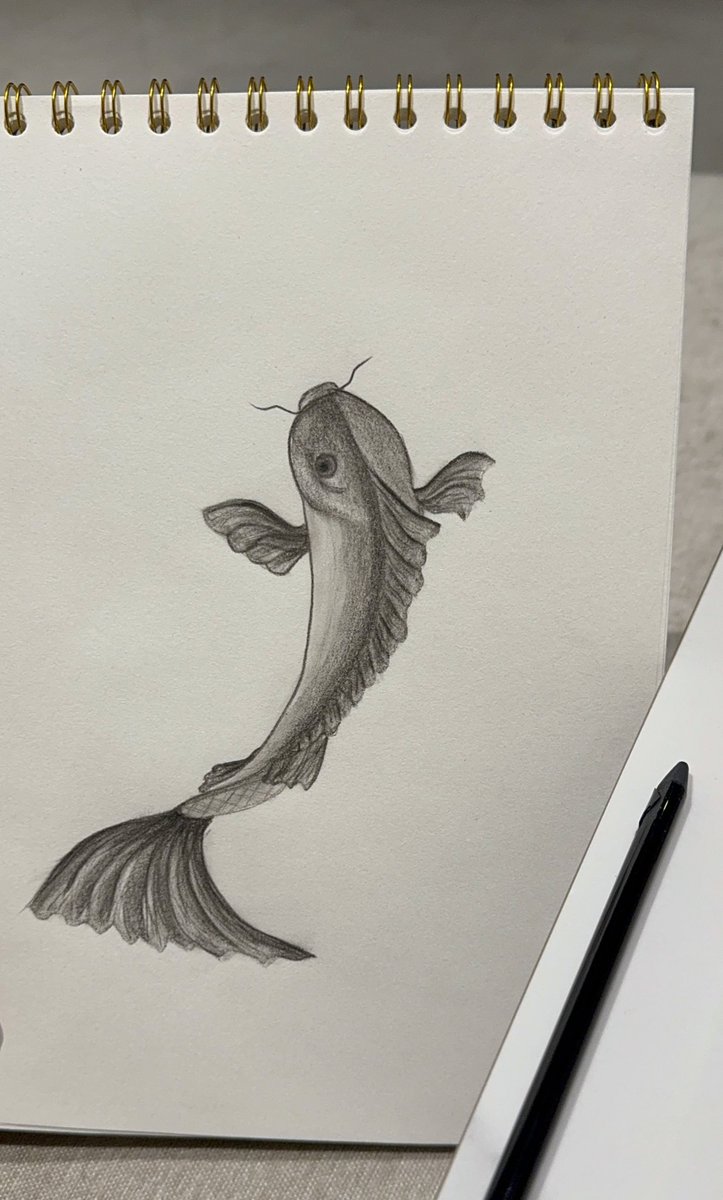 <a href="/alamalrsm/">عالم الرسم</a>