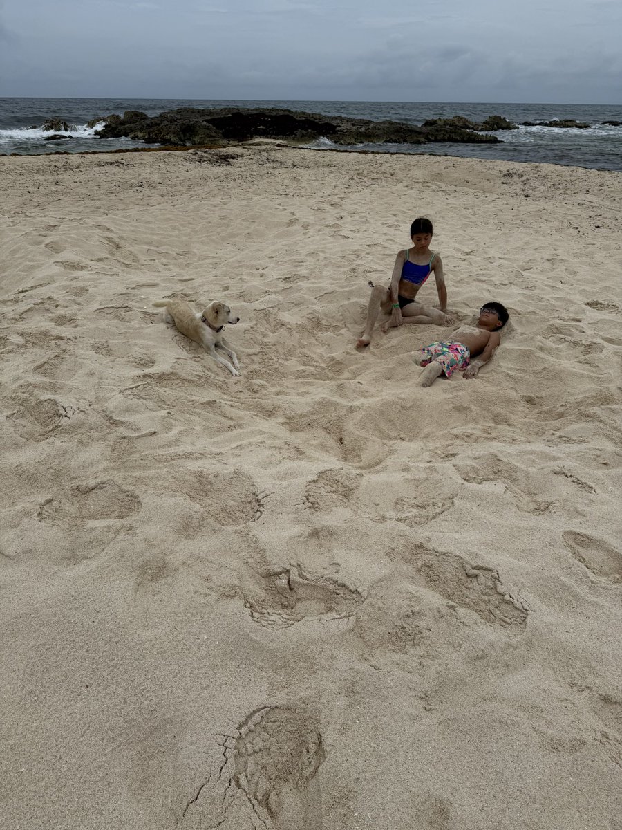 TS_Secrets's tweet image. Staying in the middle of Cozumel with the locals > any all-inclusive resort.
So much walking.
Fresh, natural food every day.
Haven’t seen a single fast food place.
It’s slower, simpler… and honestly, way better.
Sometimes the best travel hack is skipping the tourist traps.…