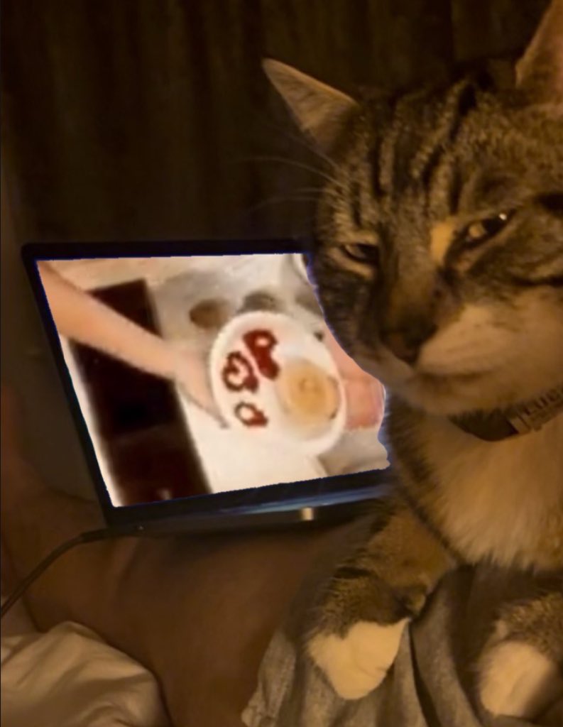 emophringe's tweet image. the cameraman during the overcooked stream not showing dan’s ketchup art to the audience: