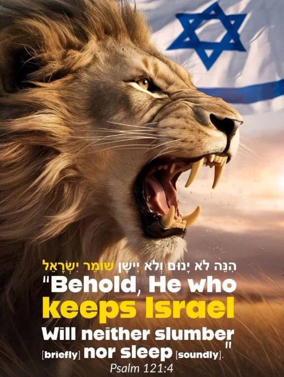 Marilyn Hauck tweet media