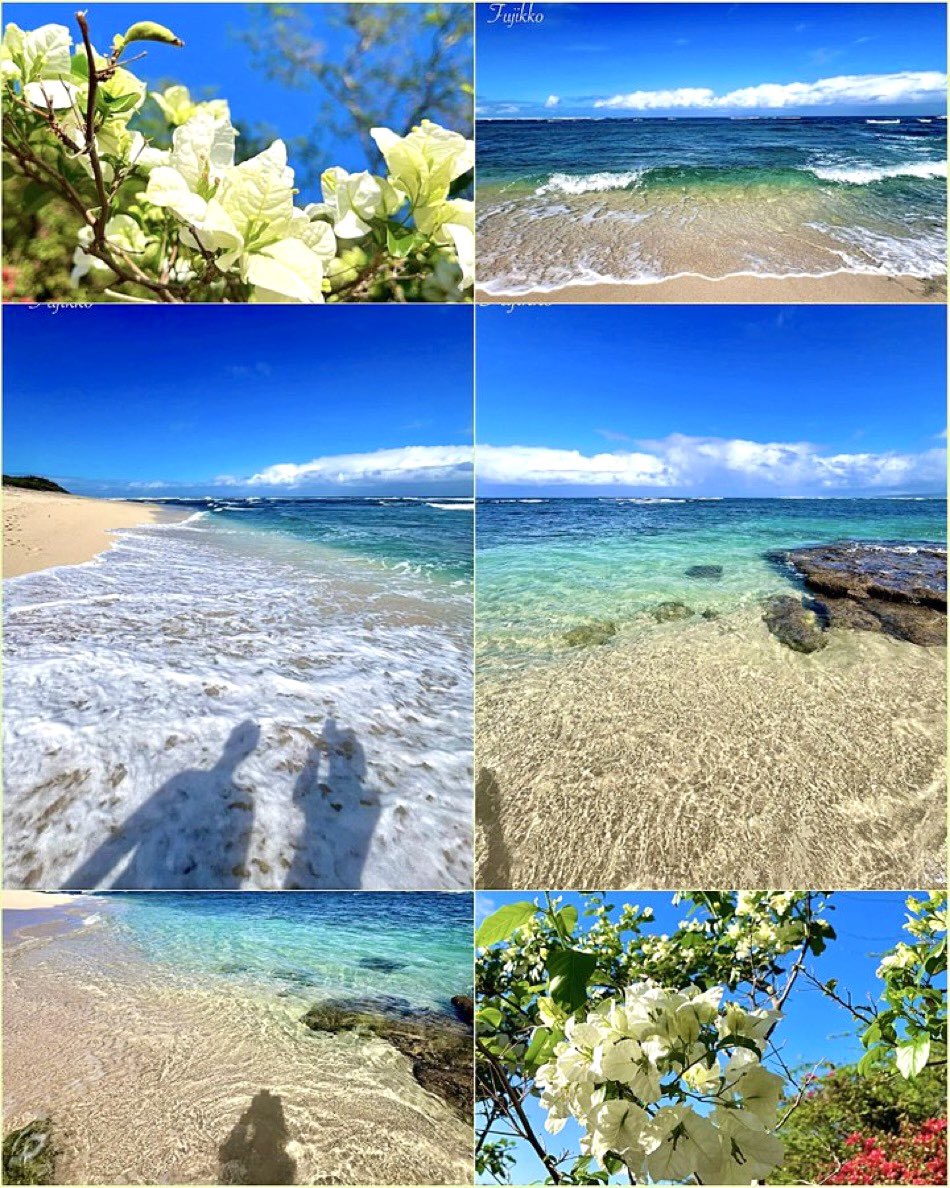 hawaiifujikko's tweet image. 💙 Hawai’i
🎼 Anita Baker
⋆𓈒・:* Caught Up in the Rapture ♬
m.youtube.com/watch?v=Oz-b86…