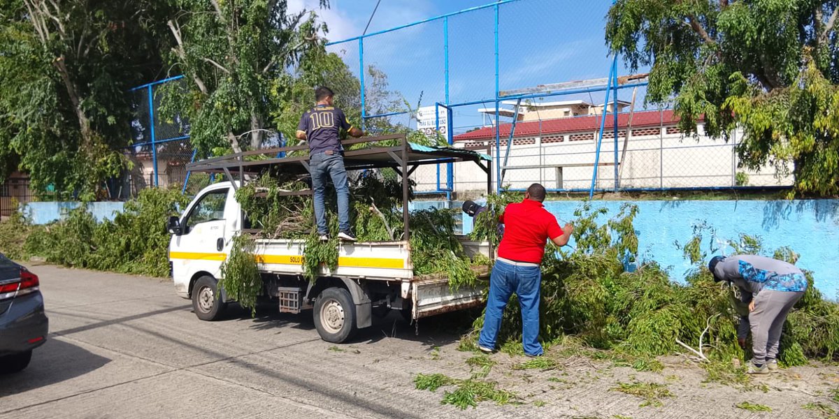 Poda de árbol en la cancha multiusos de Camino Real 2, San Antonio.