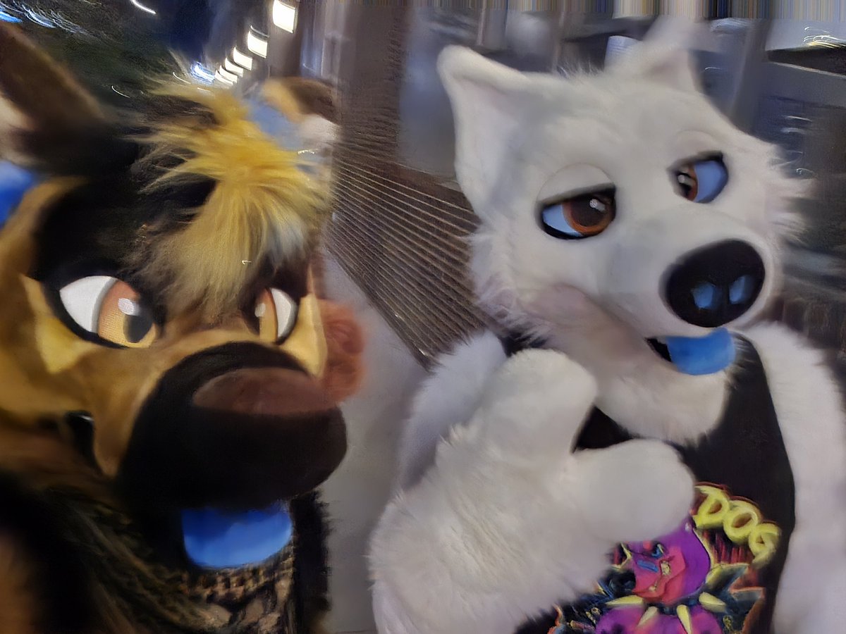 permafrostwolf's tweet image. Fuck ass animals 

 Ft. @ChatShep