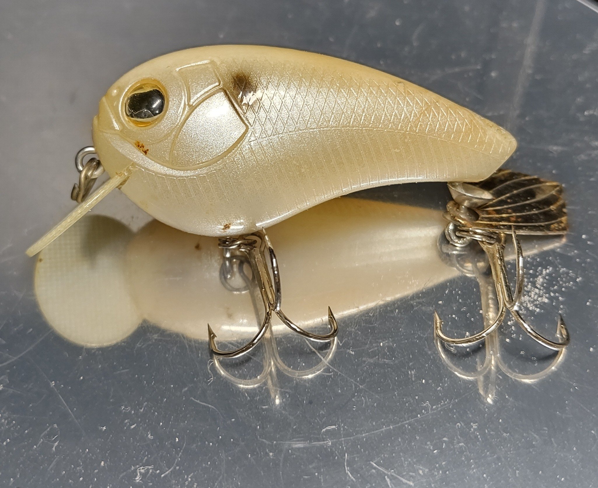 ライフベイト　オリカラ 37a5a17ee4473fac89fab50049395a