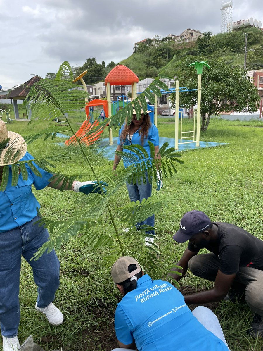 1ra jornada de siembra de árboles en el parque de calle 43 Brisas del Golf.