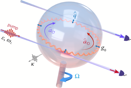 Recently published in PRA: Reinforcement-learning-assisted nonreciprocal optomechanical gyroscope
go.aps.org/3IK5IoQ