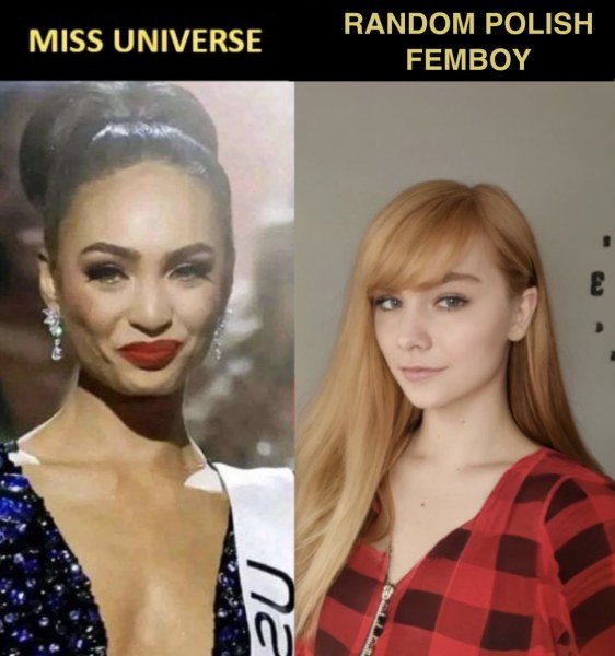 teshi_ancap's tweet image. 