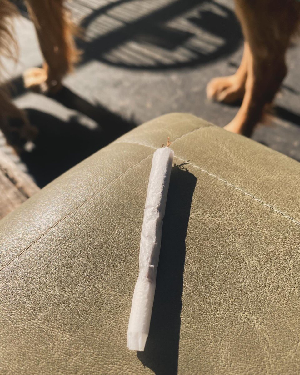 LIVREACCION's tweet image. Building in Web3 feels really lonely sometimes.
It’s like there’s no time for a girlfriend, friends, or even family.

But I truly enjoy the moments I get to spend with myself — taking a walk, enjoying a coffee &amp;amp; a smoke with my g: TEGO.