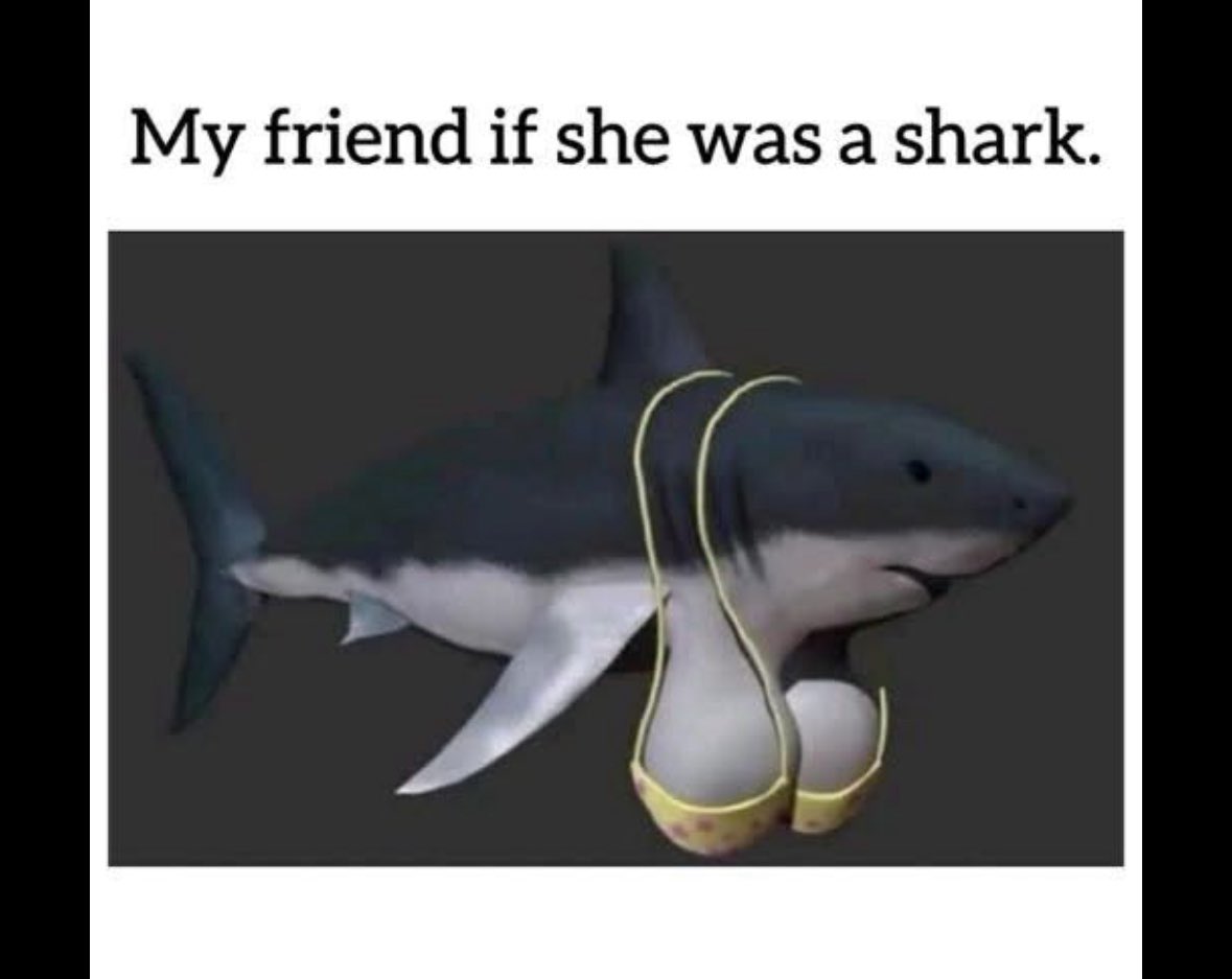 😂😂😂
#shark 
#melons 
#milkers