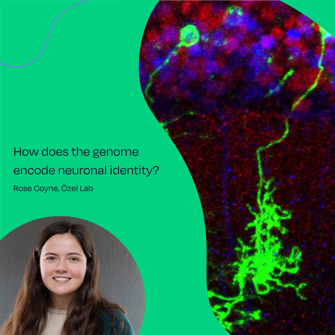 ScienceStowers's tweet photo. Today at #OpenMicScience! ποΈπ§¬ https://t.co/X4SF4zxyTX
