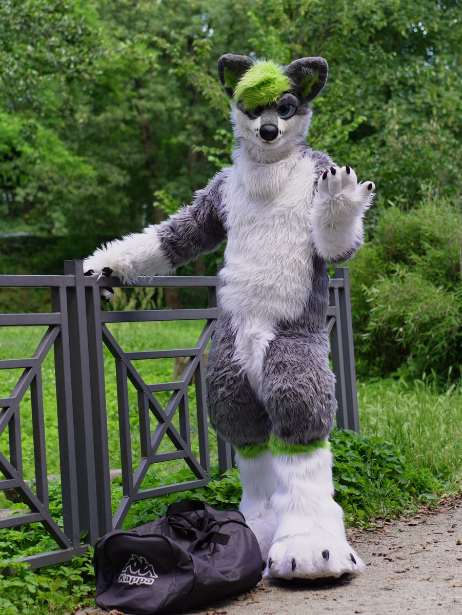 Hey! You! Come to me
Photo: <a href="/mike_wolf_furry/">mike_furry</a> 
#FursuitFriday