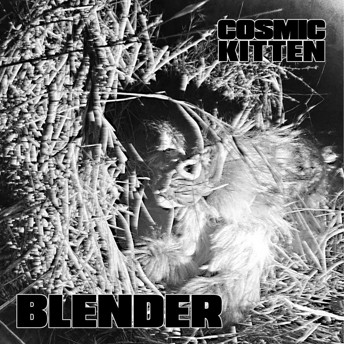 thepunksite's tweet image. Cosmic Kittens Drop Emotive New Single "Blender" thepunksite.com/news/cosmic-ki…