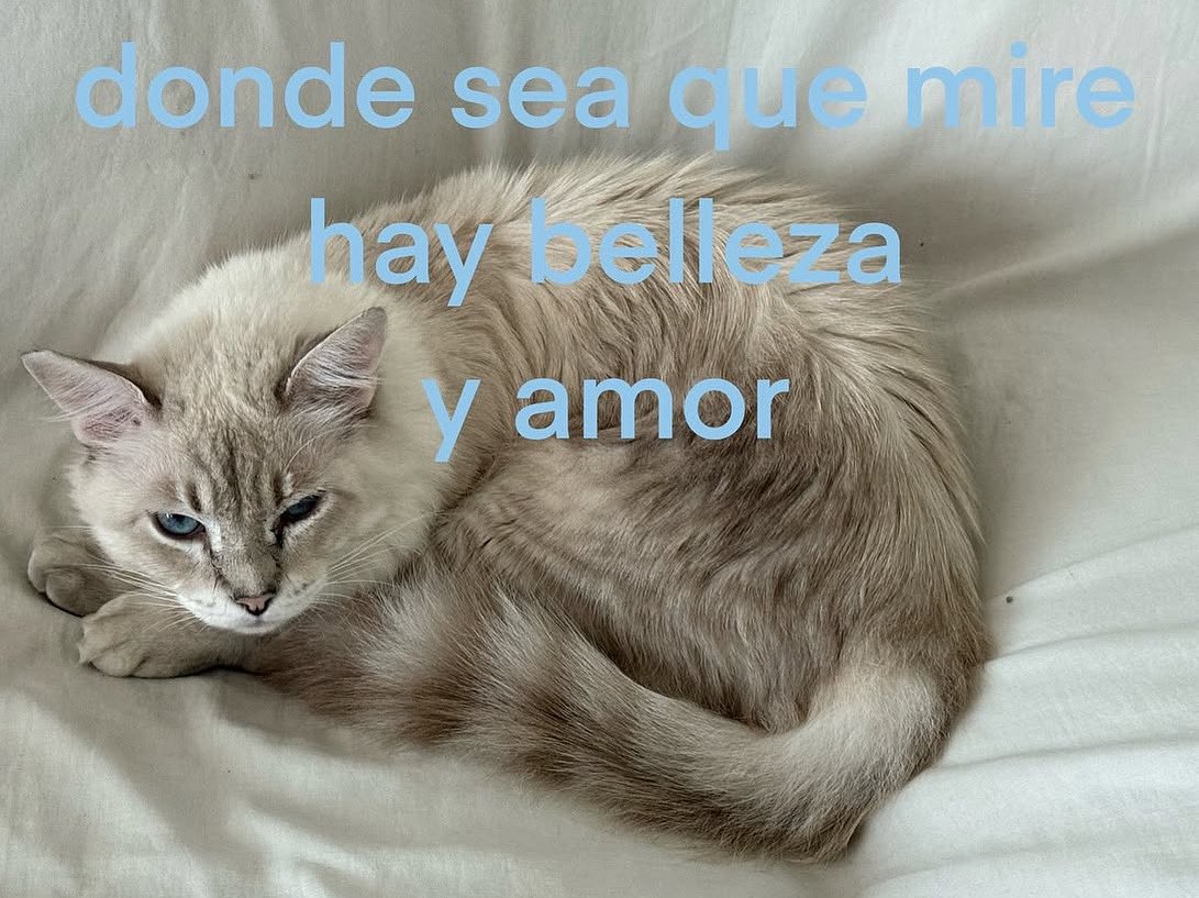 emociones amarillas (@conoloracigarro) on Twitter photo 