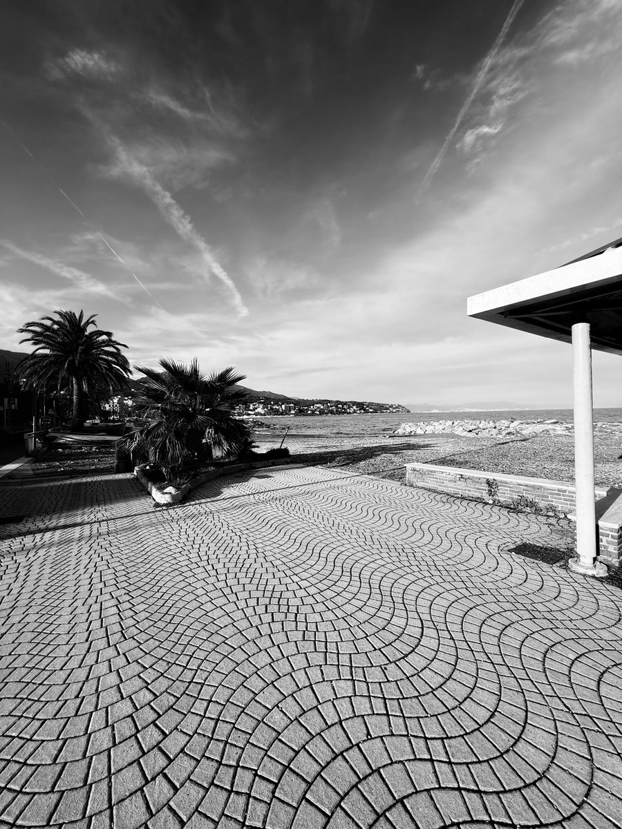 Alonein43672278's tweet image. #photography #blackandwhite #floor #column #beach #sea #plants