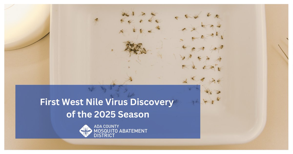 AdaCountyWPM tweet media