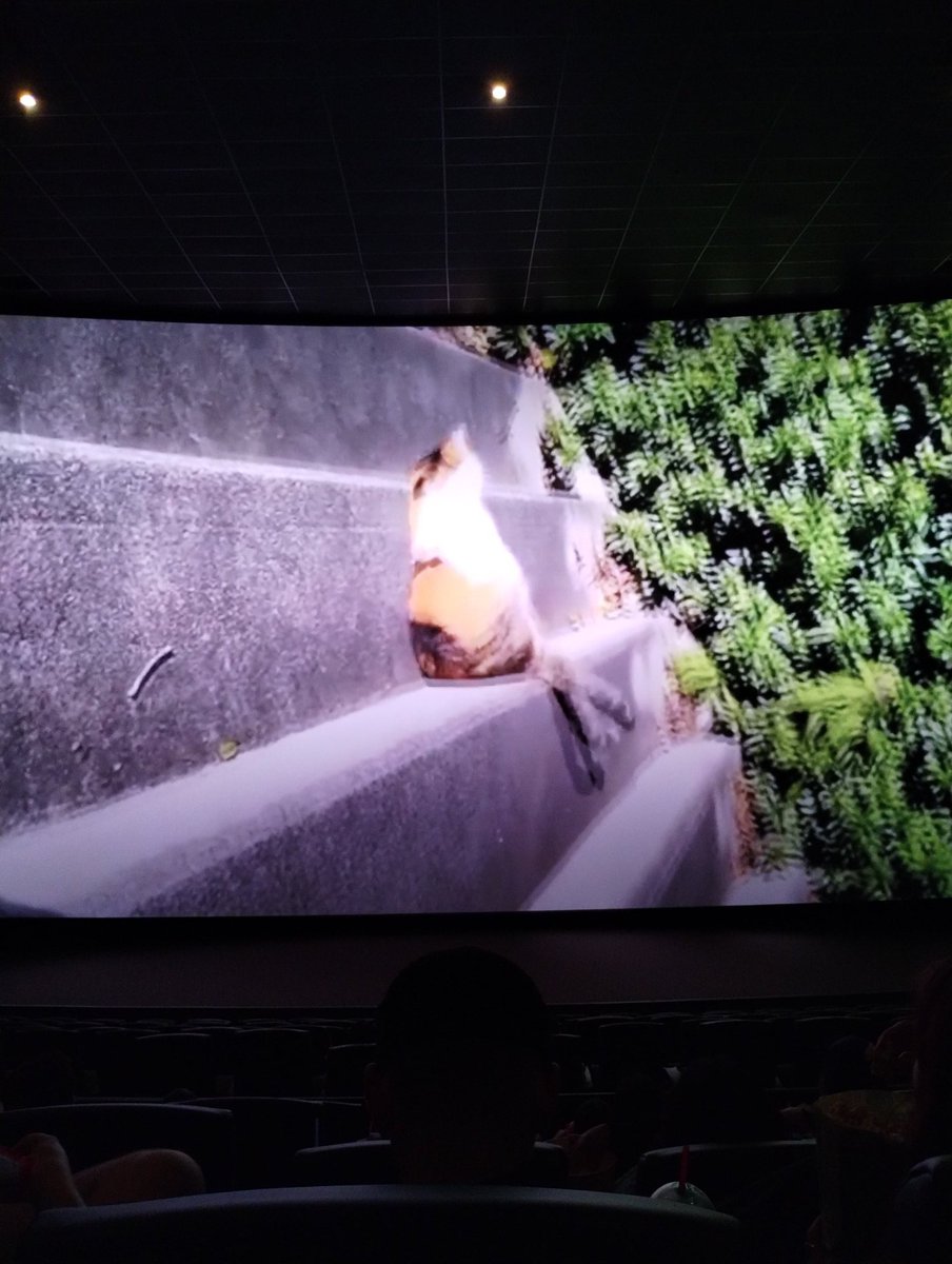 WolfMagic9_'s tweet image. About to see Fantastic Four