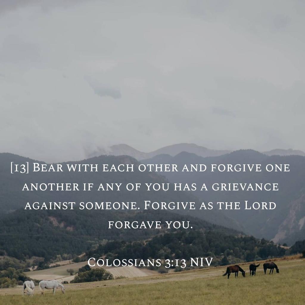 EdwinTashobya's tweet image. The same standards by which we desire to be forgiven must be the same by which we forgive. @coufamilytv
#NoToElectionViolence