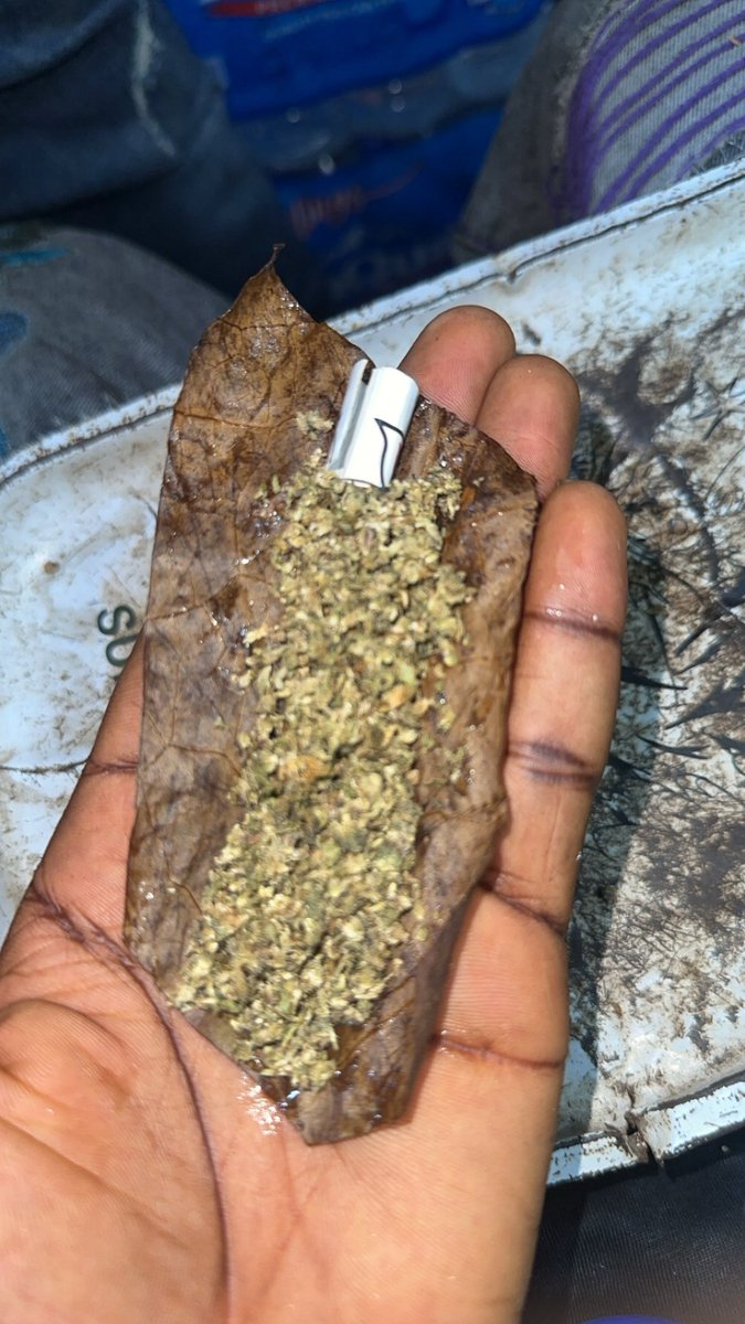 high_kush1's tweet image. Walk with me