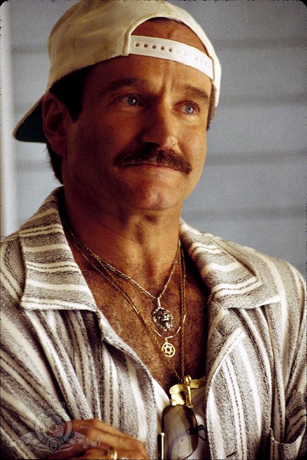 uawanama's tweet image. robin williams in the birdcage 😩